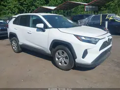 2T3G1RFVXPW349191 2023 TOYOTA RAV 4