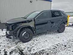2T3G1RFVXRC476981 2024 TOYOTA RAV 4
