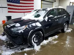 2T3G1RFVXSC508821 2025 TOYOTA RAV 4