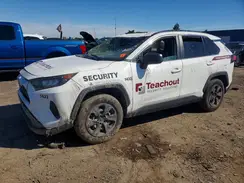 2T3H1RFV0KW031433 2019 TOYOTA RAV 4