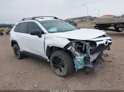 2T3H1RFV0KW036891 2019 TOYOTA RAV 4