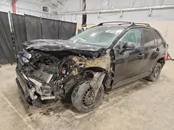 2T3H1RFV0LW103619 2020 TOYOTA RAV 4