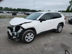 2T3H1RFV0RC296235 2024 TOYOTA RAV 4