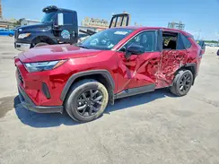 2T3H1RFV0RW302386 2024 TOYOTA RAV 4