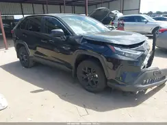 2T3H1RFV0RW336764 2024 TOYOTA RAV 4