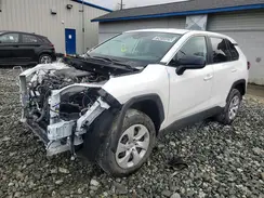 2T3H1RFV0SC330616 2025 TOYOTA RAV 4