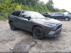 2T3H1RFV0SW429189 2025 TOYOTA RAV 4