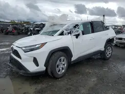2T3H1RFV1PC233352 2023 TOYOTA RAV 4
