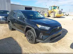 2T3H1RFV1PC237742 2023 TOYOTA RAV 4