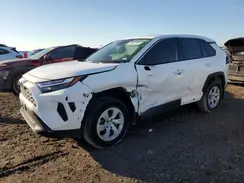 2T3H1RFV1RC279377 2024 TOYOTA RAV 4