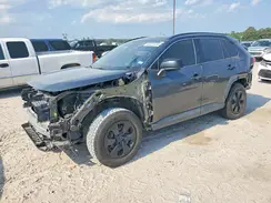2T3H1RFV2KC026980 2019 TOYOTA RAV 4