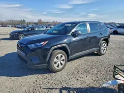 2T3H1RFV2PC228113 2023 TOYOTA RAV 4