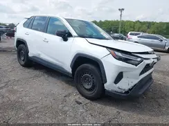 2T3H1RFV2RC253919 2024 TOYOTA RAV 4