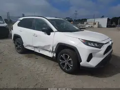 2T3H1RFV3KC025191 2019 TOYOTA RAV 4