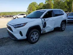 2T3H1RFV3PC226242 2023 TOYOTA RAV 4