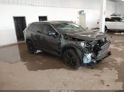 2T3H1RFV3PW246974 2023 TOYOTA RAV 4