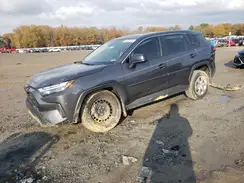 2T3H1RFV3PW252810 2023 TOYOTA RAV 4
