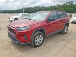 2T3H1RFV4KC021067 2019 TOYOTA RAV 4