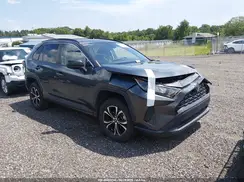 2T3H1RFV4KC031677 2019 TOYOTA RAV 4