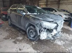 2T3H1RFV4KW009029 2019 TOYOTA RAV 4