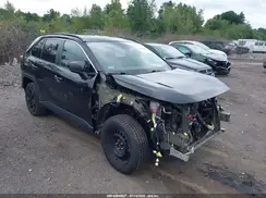 2T3H1RFV4KW021374 2019 TOYOTA RAV 4