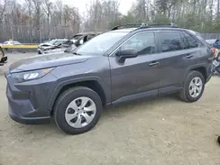 2T3H1RFV4KW037137 2019 TOYOTA RAV 4