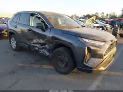 2T3H1RFV4RC256093 2024 TOYOTA RAV 4