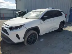2T3H1RFV4RW343393 2024 TOYOTA RAV 4