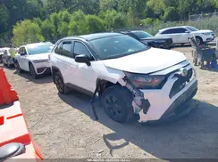 2T3H1RFV5KW019830 2019 TOYOTA RAV 4