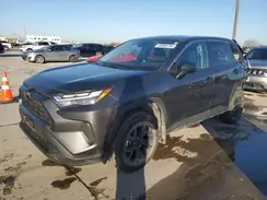 2T3H1RFV5PC240434 2023 TOYOTA RAV 4