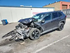 2T3H1RFV5PW263954 2023 TOYOTA RAV 4