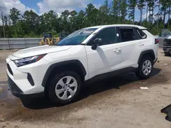 2T3H1RFV5RW310435 2024 TOYOTA RAV 4