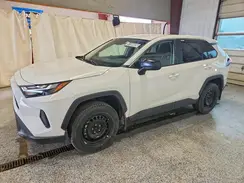 2T3H1RFV5SC355995 2025 TOYOTA RAV 4