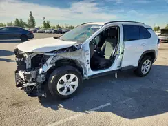 2T3H1RFV6LW066303 2020 TOYOTA RAV 4