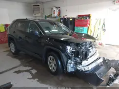 2T3H1RFV6PC236635 2023 TOYOTA RAV 4
