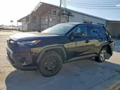 2T3H1RFV6PW283954 2023 TOYOTA RAV 4