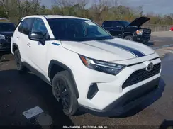 2T3H1RFV6RW344500 2024 TOYOTA RAV 4