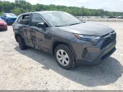 2T3H1RFV6RW359644 2024 TOYOTA RAV 4