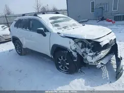 2T3H1RFV7KW049329 2019 TOYOTA RAV 4
