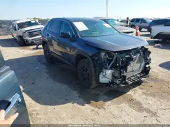 2T3H1RFV7PW260800 2023 TOYOTA RAV 4