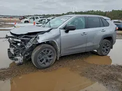 2T3H1RFV7PW264569 2023 TOYOTA RAV 4