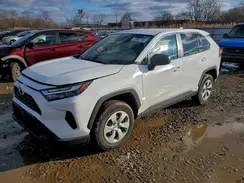 2T3H1RFV7RC265760 2024 TOYOTA RAV 4