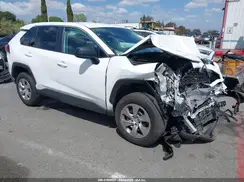 2T3H1RFV7RW315538 2024 TOYOTA RAV 4