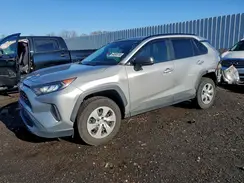 2T3H1RFV8MW144663 2021 TOYOTA RAV 4