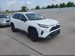 2T3H1RFV8PC221019 2023 TOYOTA RAV 4