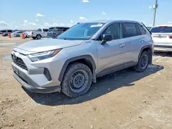 2T3H1RFV8PW246629 2023 TOYOTA RAV 4