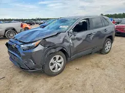 2T3H1RFV8RC261846 2024 TOYOTA RAV 4