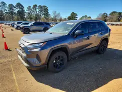 2T3H1RFV8RC293504 2024 TOYOTA RAV 4