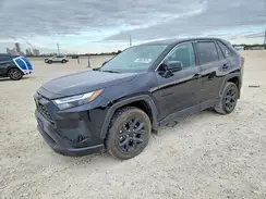 2T3H1RFV8RC302394 2024 TOYOTA RAV 4