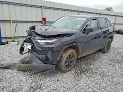 2T3H1RFV8RW351495 2024 TOYOTA RAV 4